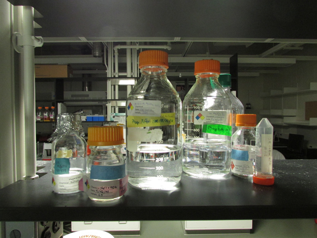 bottles in lab