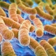 Shiga toxin-producing E. coli